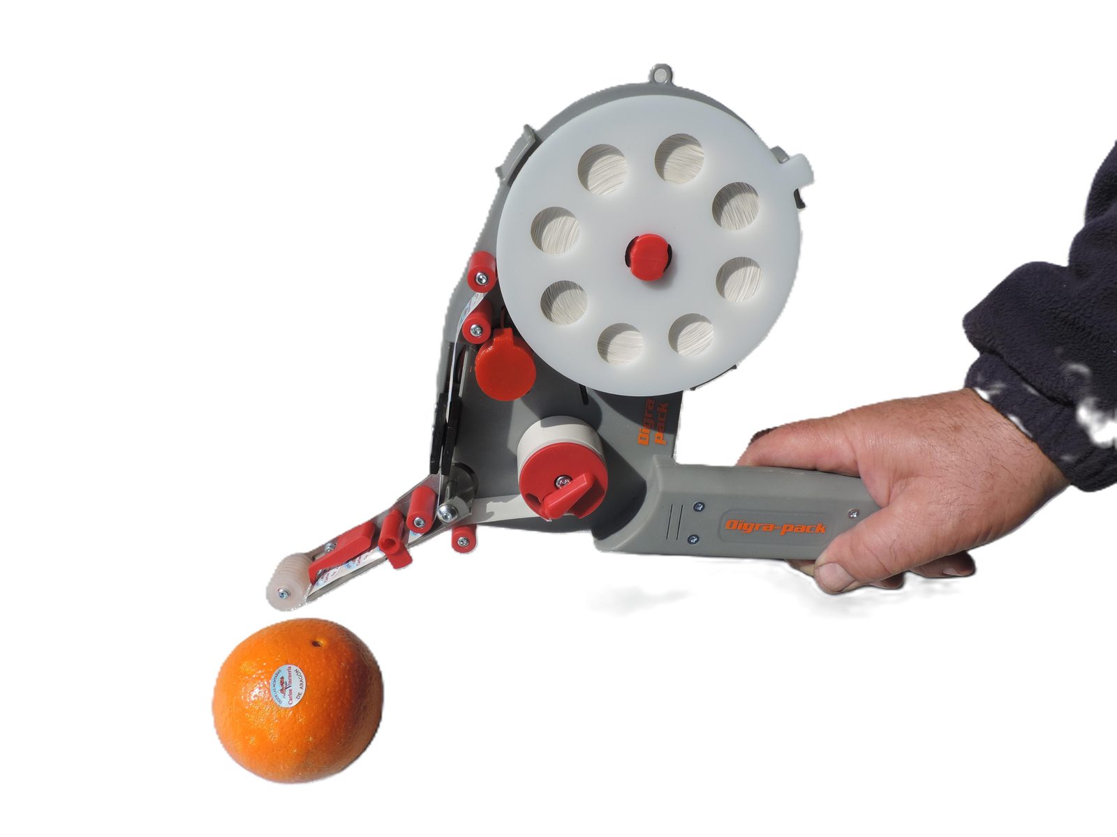 Etiquetadora manual de batería DP25 Professional para fruta - Digrapack